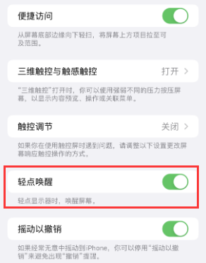 辛集苹果授权维修站分享iPhone轻点无法唤醒怎么办 