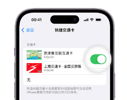 辛集apple维修点分享iPhone上更换Apple Pay快捷交通卡手绘卡面 