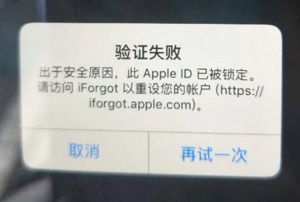 辛集iPhone维修分享iPhone上正常登录或使用AppleID怎么办 