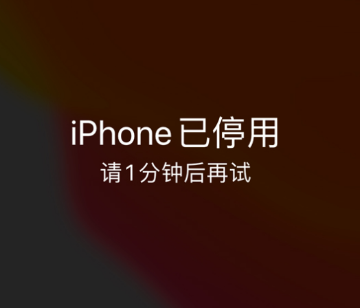 辛集苹果手机维修分享:iPhone 显示“不可用”或“已停用”怎么办？还能保留数据吗？ 