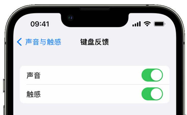 辛集苹果手机维修分享iPhone 14触感键盘使用方法 