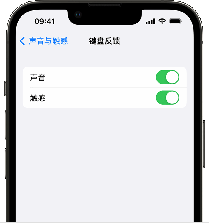 辛集苹果14维修店分享如何在 iPhone 14 机型中使用触感键盘 