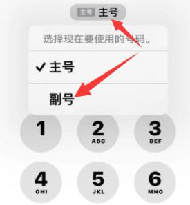 辛集苹果14维修店分享iPhone 14 Pro Max使用副卡打电话的方法 