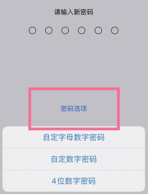 辛集苹果14维修分享iPhone 14plus设置密码的方法 