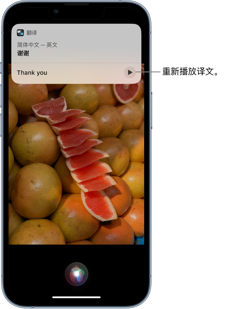 辛集苹果14维修分享 iPhone 14 机型中使用 Siri：了解 Siri 能帮你做什么 