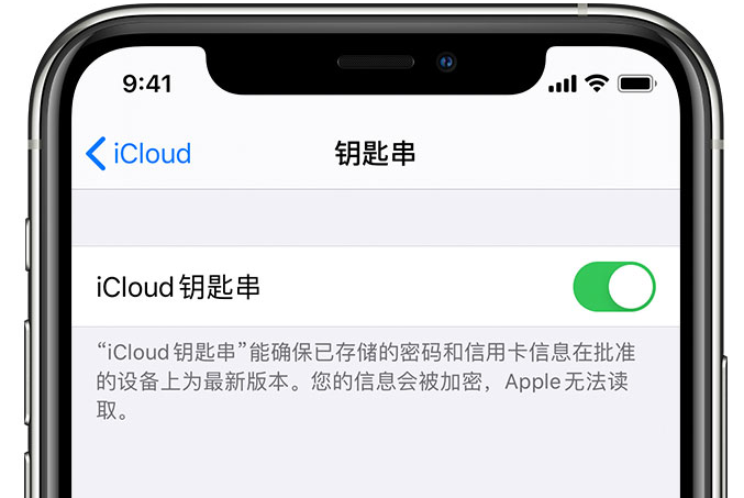 辛集苹果手机维修分享在 iPhone 上开启 iCloud 钥匙串之后会储存哪些信息 