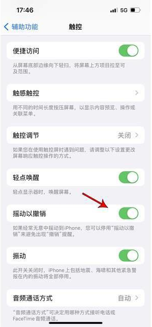 辛集苹果手机维修分享iPhone手机如何设置摇一摇删除文字 