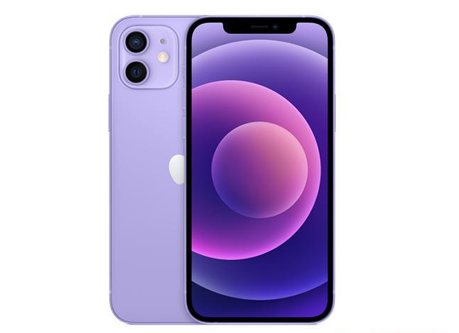 辛集苹果手机维修分享现阶段要不要入手紫色版iPhone12 